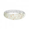 Đèn LED dây thông minh Tunable White WW